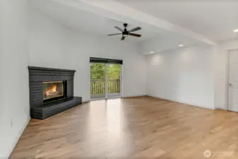 Wood Burning Fireplace