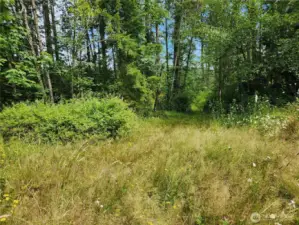 Former Homesite