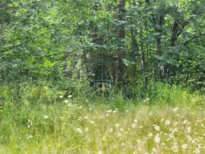 Playhouse on Former Homesite