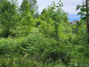 Retention Pond by E Property Line & Old Home site