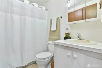 Main full bathroom for guests & bedroom #2