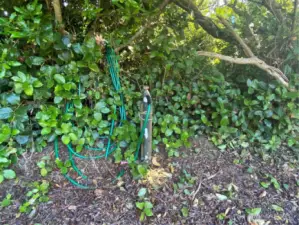 One of two water spigots