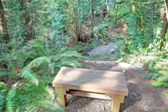 A lovely place to sit and enjoy nature!