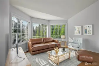 Plenty of sunlight... (virtual staging)
