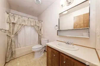 The second hallway full bathroom.