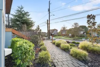 Beautiful low maintenance front yard