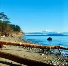 Miles of beach to explore