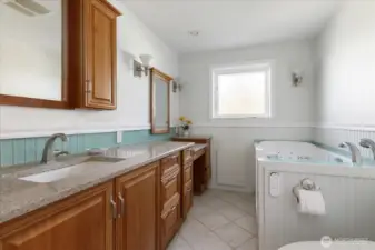 Primary bathroom with walk-in tub and Bidet