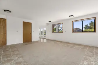 Lower level family room (unstaged)