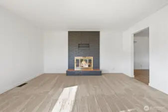 Wood burning fireplace