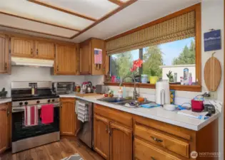 new stove and dishwasher