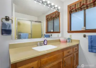 Main bath with tub and shower