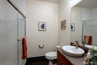 Ensuite primary bathroom