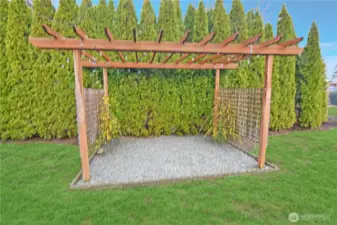 Charming backyard pergola creates a cozy, private outdoor retreat — perfect for relaxing evenings, gatherings, or adding your own garden touches.