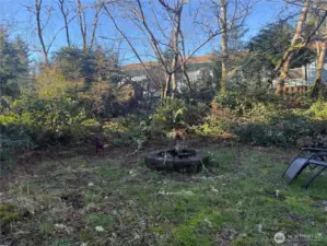 fire pit ready to go!