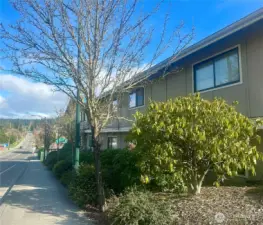 Sidewalk on Tucker alongside Sandpiper .