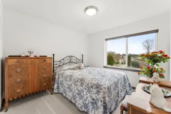 Spacious lower-level third bedroom.