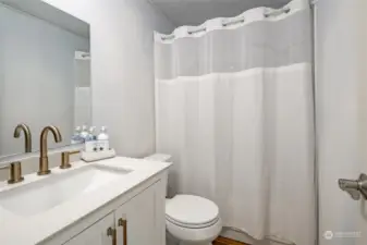 Guest full bathroom