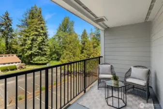 Oversized deck overlooking Salt Air Vista Park