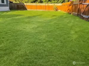 Front Yard