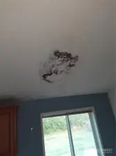 leak causing small amount of mold has been repaired