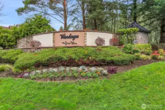 Welcome to Vintage at Silver Firs!