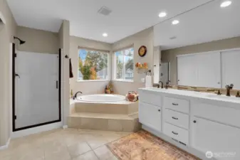 Primary suite bathroom with walk in shower, tub, walk in closet, double vanity, and quartz counters