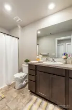Full hallway bathroom