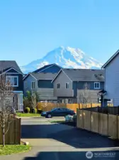 View of Mt. Raineir from the inside of the home.