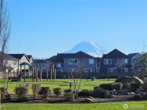 View of Mt. Rainier from the neighborhood play area.
