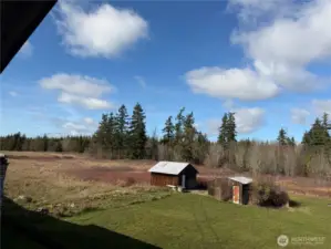 next three shots give you an idea of the 40 acres!!