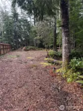 Cleared area on property looking towards back of lot