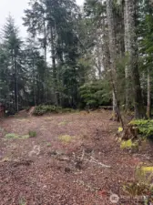 Looking towards back of lot