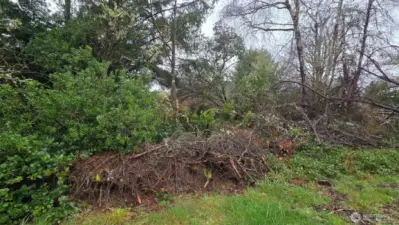 Interior Property view