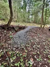 Gravel path off Killebrew Lake Road to ramp, stairs to beach.