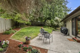 This is only one part of the backyard.