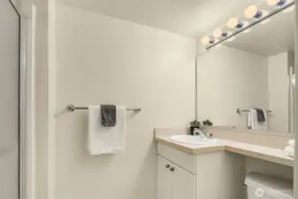 Lower level 3/4 bath