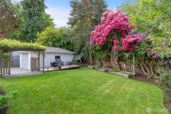 Oversized Backyard w/ Detached Garage