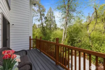 Sitting on the deck literally feels like you're in a treehouse.