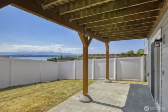 Back yard