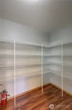 Walk-in pantry featuring abundant shelving and ample room for storage and organization