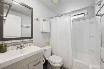 Updated hall bathroom.