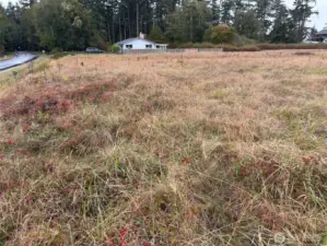 Vacant level lot.