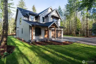 Beautiful winter dappled light.