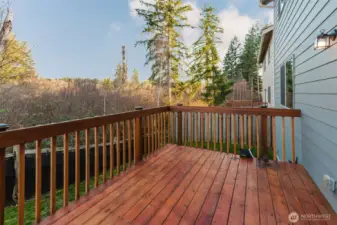 Back deck and green belt