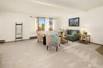 Space for Large Oversized Furniture