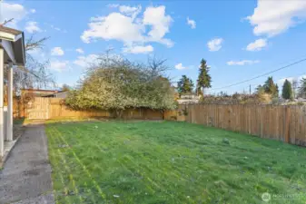 Nice plat front yard.