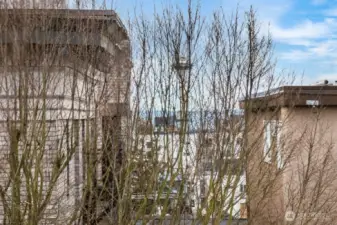 There are winter views of the space needle.