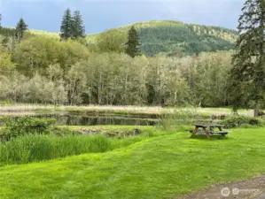 Ryderwood Pond