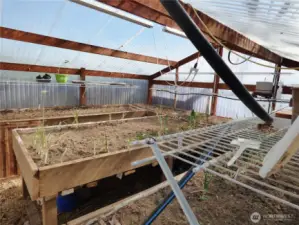Inside the greenhouse